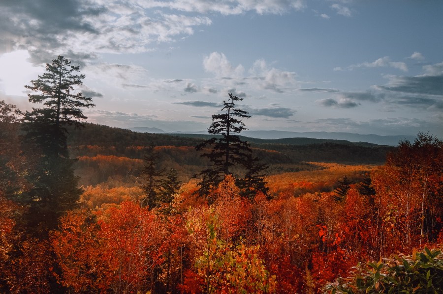 ใบไม้เปลี่ยนสีที่ฮอกไกโด