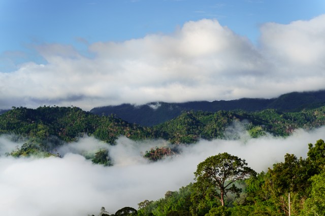 แนวเขาจังหวัดกาญจนบุรีกลางทะเลหมอกและเมฆที่น่าอัศจรรย์